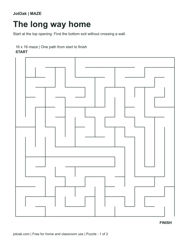 Sixteen by sixteen printable maze with narrow branching paths