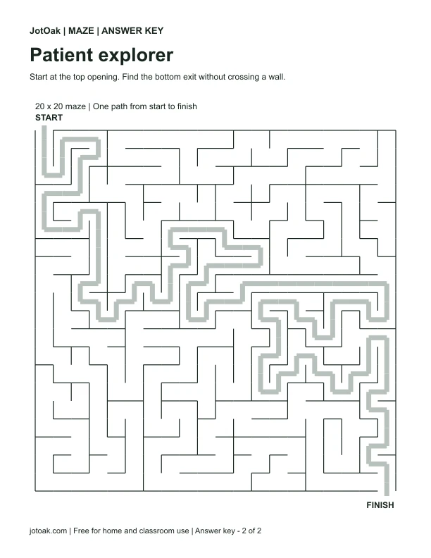 Solution for Patient explorer, showing the path from start to finish