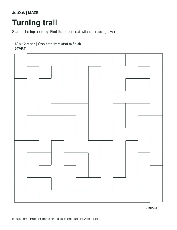 Twelve by twelve maze with winding paths and a separate solution